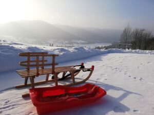 Beskid Niski Pensjonat Orlik